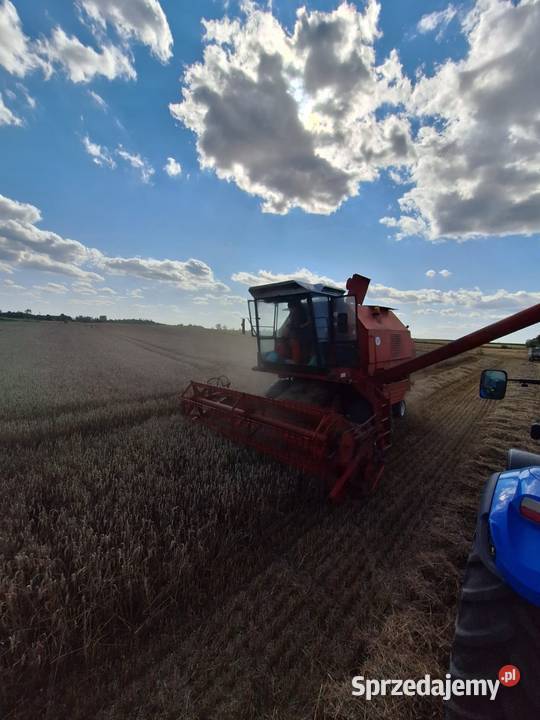 Bizon rekord Z058 Holland TCTX
