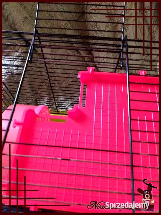 Karo klatka z wyposażeniem myszki 35x24x36 śląskie Ruda Śląska