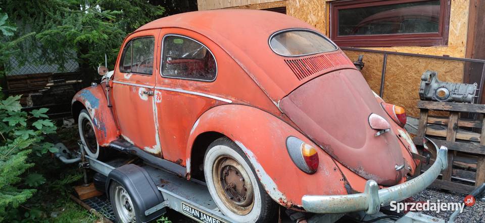 Garbus oval 1953 Volkswagen Tychy