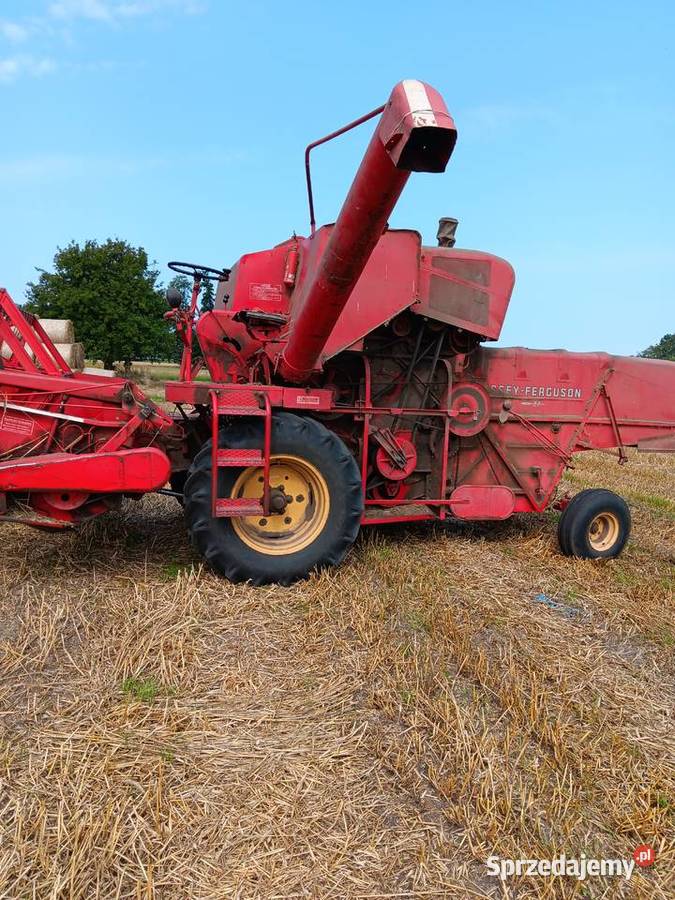 Massey ferguson87 Zbożowe Marszałki