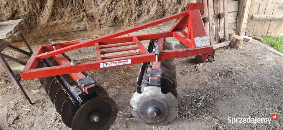 Talerzówka strumyk Krzywe