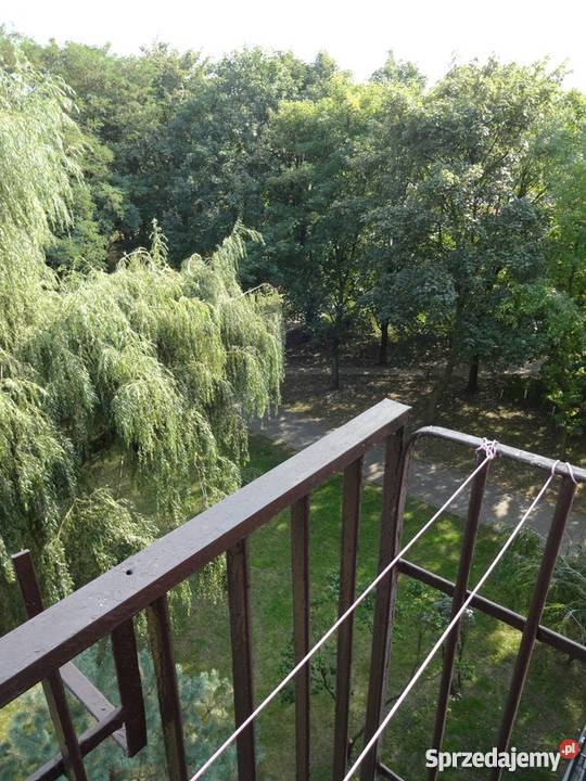 M3 Żubardź do wprowadzenia Liczba pokoi 2 łódzkie Łódź sprzedam