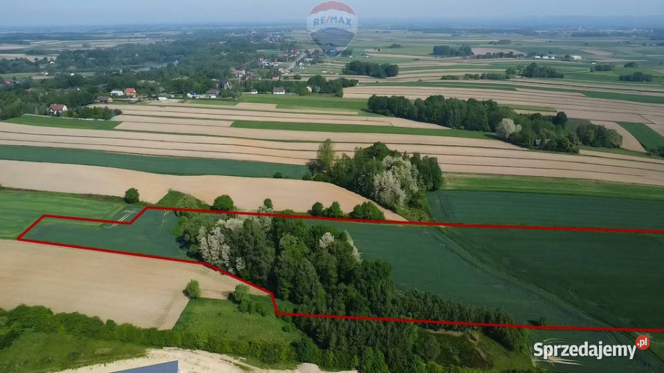 Działka z lasem i widokiem na góry 4 ha polna małopolskie Gierałtowice sprzedam