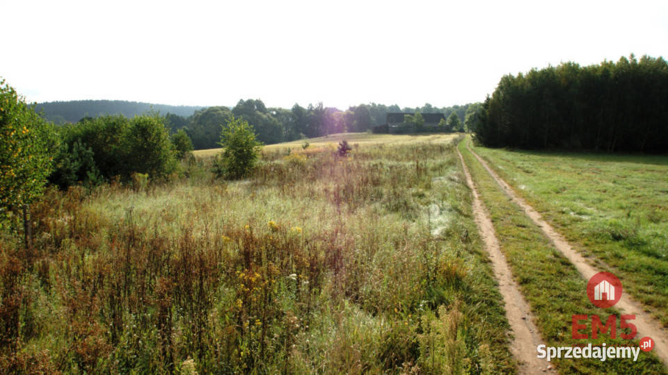 Działka 2806m2 Klimki