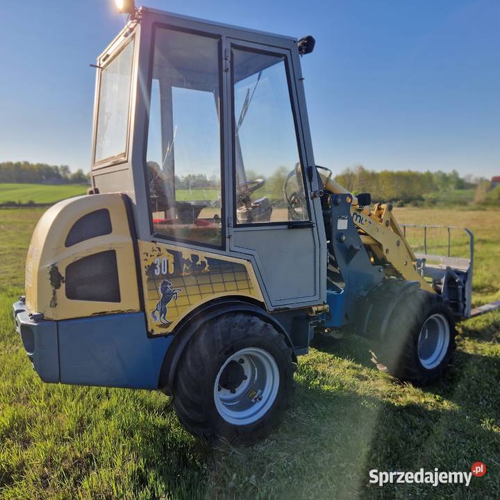ładowarka Mustang 4x4 Kubota Waidemann schaeff Bolesławiec sprzedam