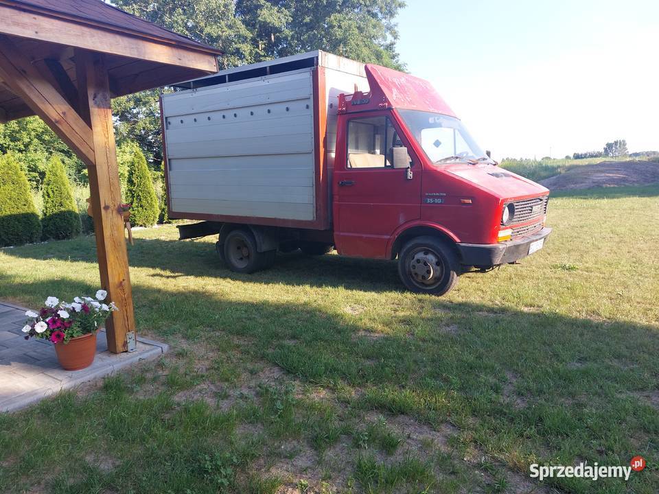 Iveco daily do przewozu zwierząt bydła cielat Łowicz