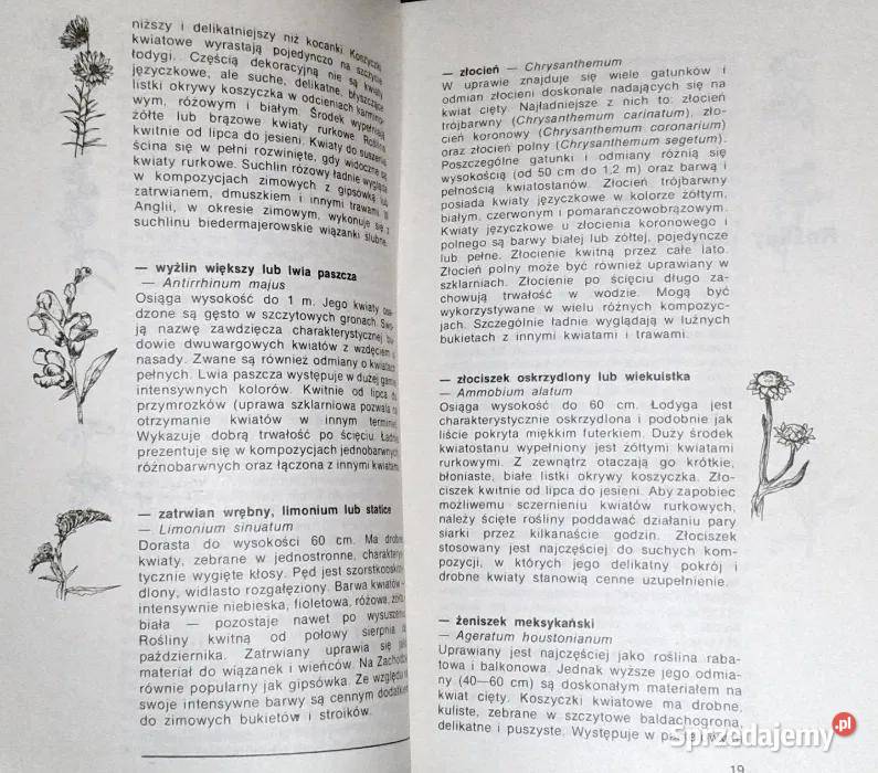 Kompozycje roślinne Agnieszka Sokołowska sprzedam