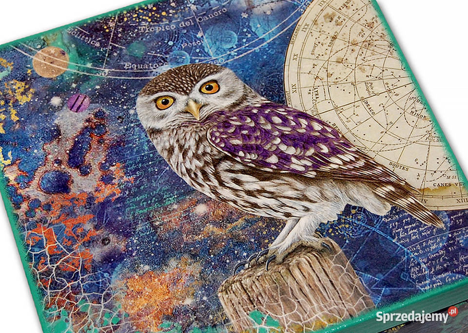 SZKATUŁKA pudełko drewniane Astrology Owl wielokolorowy Bydgoszcz