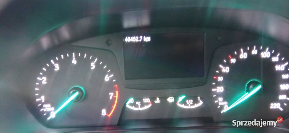 Ford Fiesta Mk8 10 2018r 101 LED Tempomat Zbąszyń