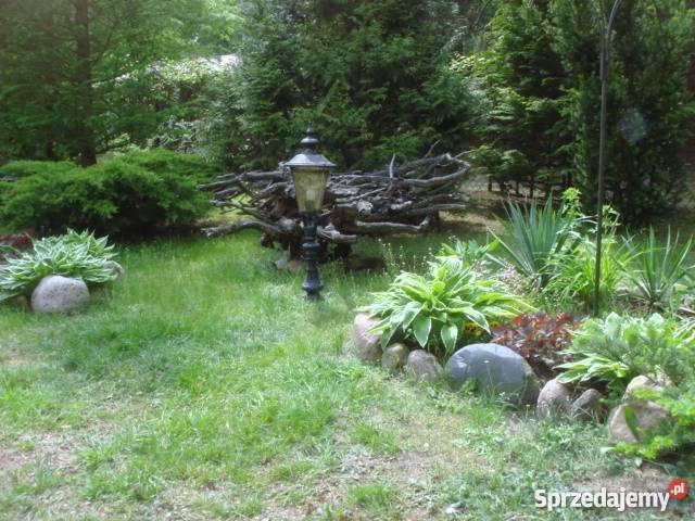 Pogorzelec śliczna działka z domem 200zł/m2 Łochów