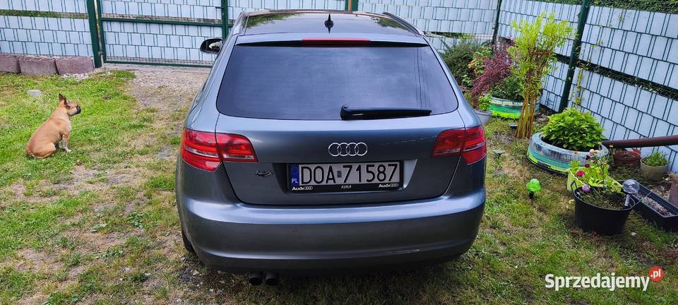 Audi a3 8p sporback diesel 20 Oława