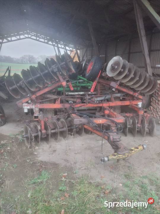 Głębosz talerzówka Sompolno