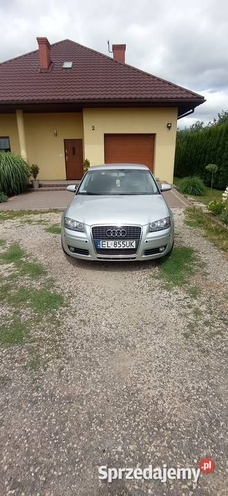 Audi A3 8P 19 TDI manualna