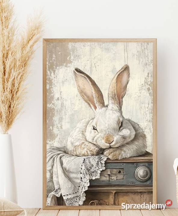 Plakaty króliczki Pełczyce