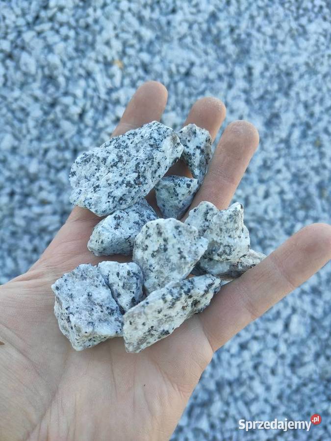 Grys granitowy DALMATYŃCZYK 1622 mm kamień opolskie Opole sprzedam