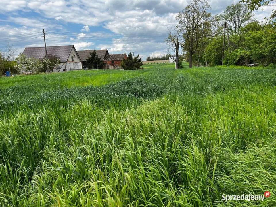 Działka budowlanaRATY Goszków sprzedam