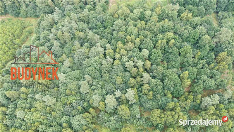 Działka rolna Lejkowo 137m