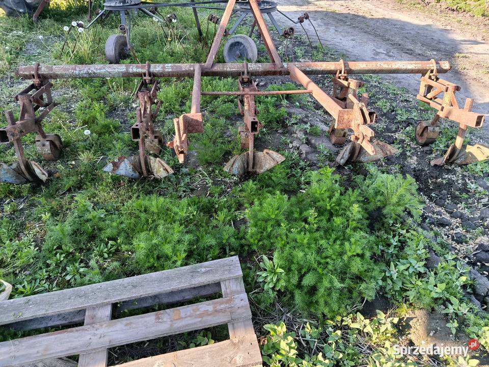 Sadzarka s211 do ziemniaków i radła Siewniki i sadzarki Kalisz