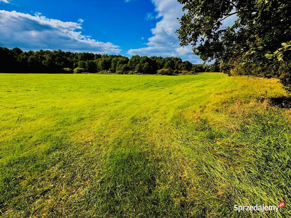 Wyjątkowa działka 242 ha wśród zieleni Cisza budowlana Drygały