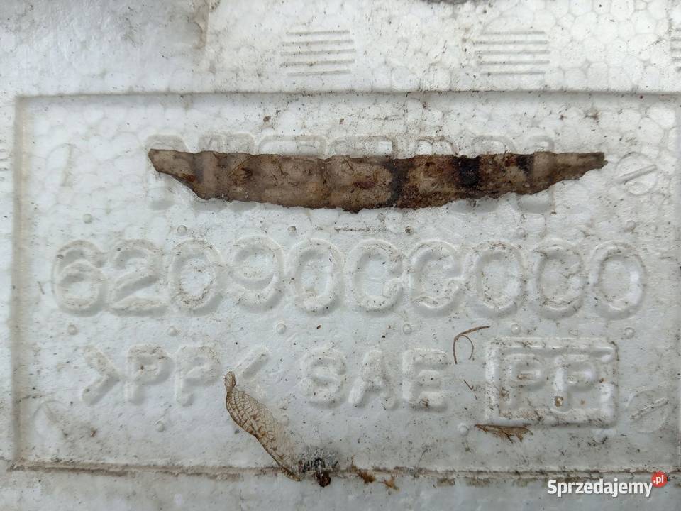 ABSORBER ZDERZAKA PRZÓD NISSAN MURANO Z50 zderzaki Karoseria wielkopolskie sprzedam