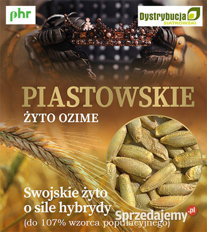 Kwalifikowane nasiona siewne żyto ozime Rolnictwo Strubno