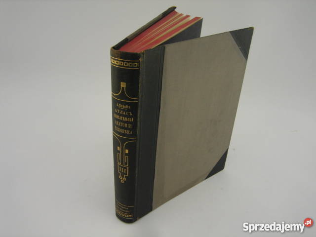 Atlas Anatomii Człowieka JSobotta Tom 3 1910 r Warszawa