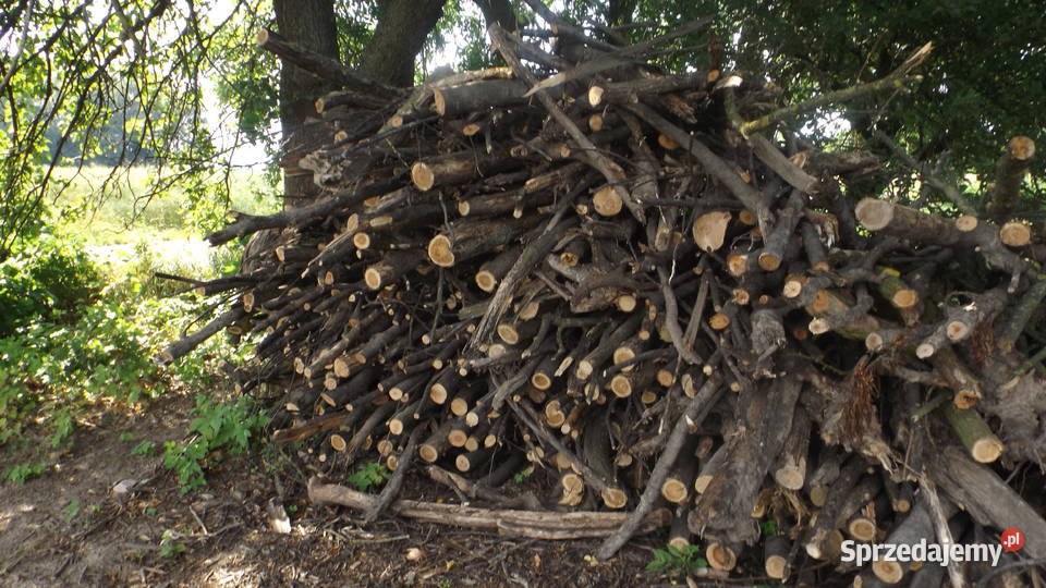 Drewno opałowe jesion i akacja suche