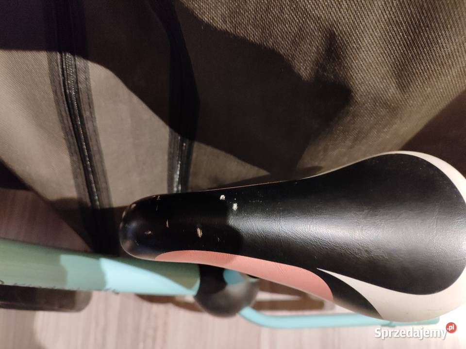 Rowerek biegowy Kinderkraft Rokietnica