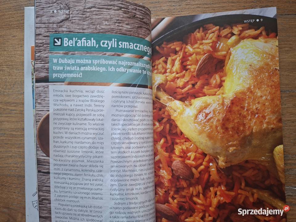 Dubaj i explore guide light 2 in 1 Kraków