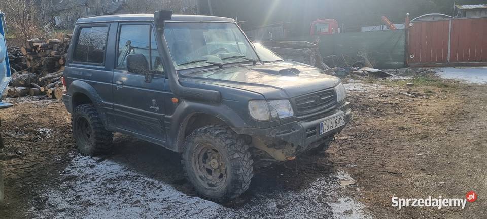 Spszedam galloper 25 Stronie Śląskie