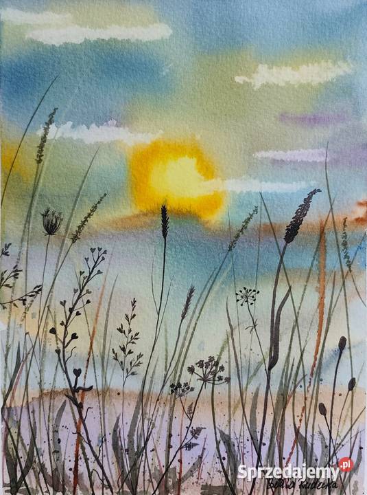 Akwarela Akwarelka Obraz pt Łąka Warszawa