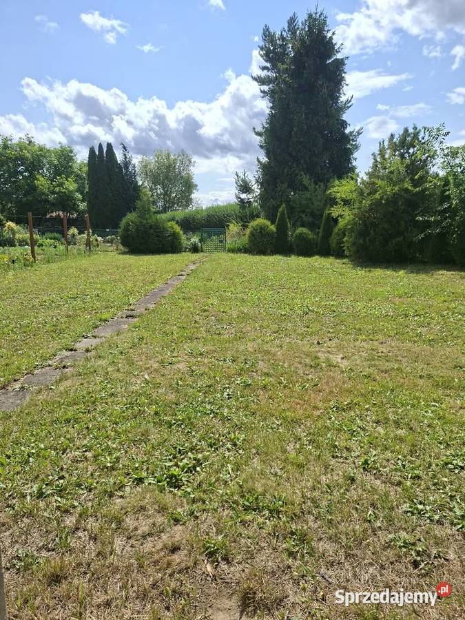 Działka ROD w Nysie Sprzedaż opolskie Nysa
