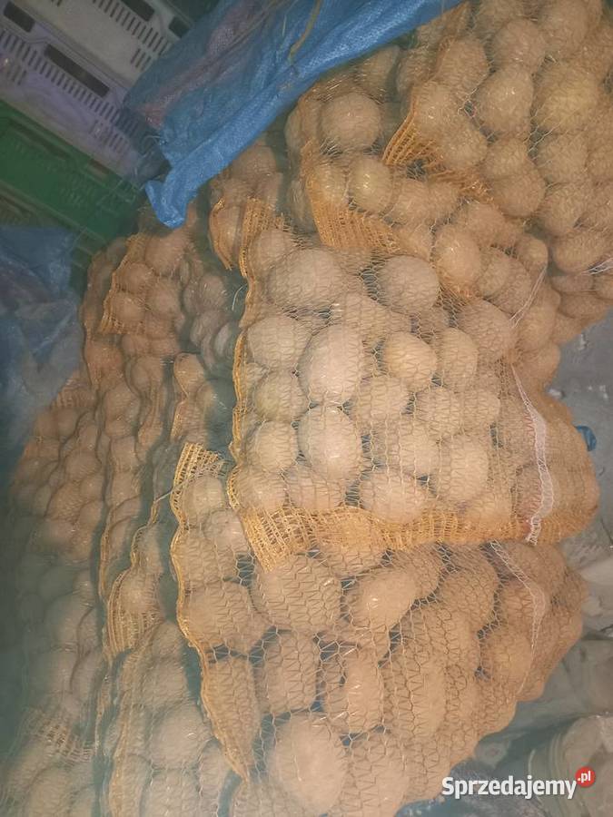 Ziemniaki żółte białe