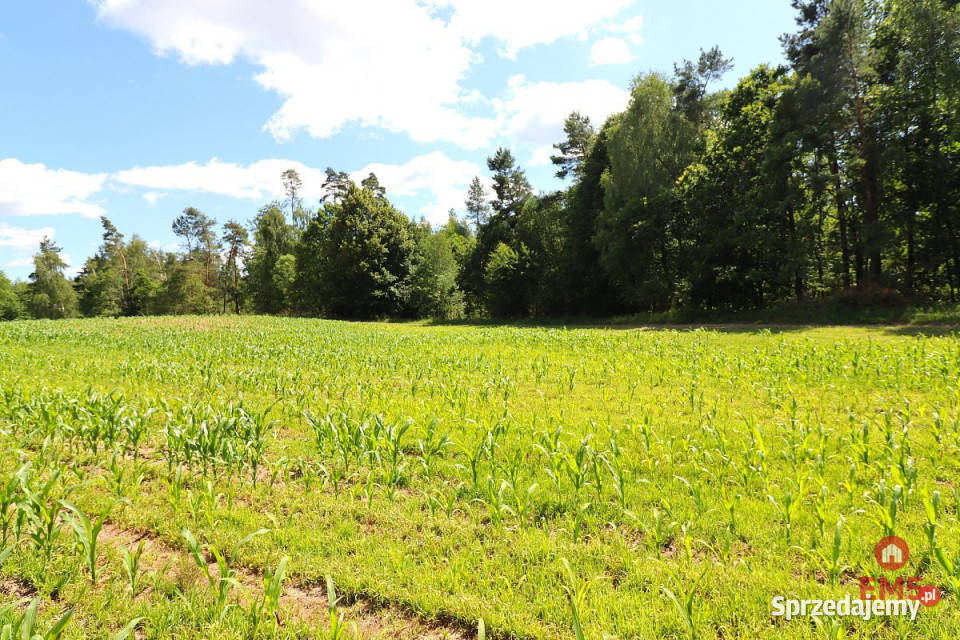 Grunt Rożyńsk Wielki 1100m2 59zł/m2