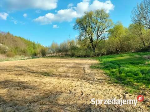 Pole z dojazdem 30ar Kościejów gm Racławice 3000m2 małopolskie