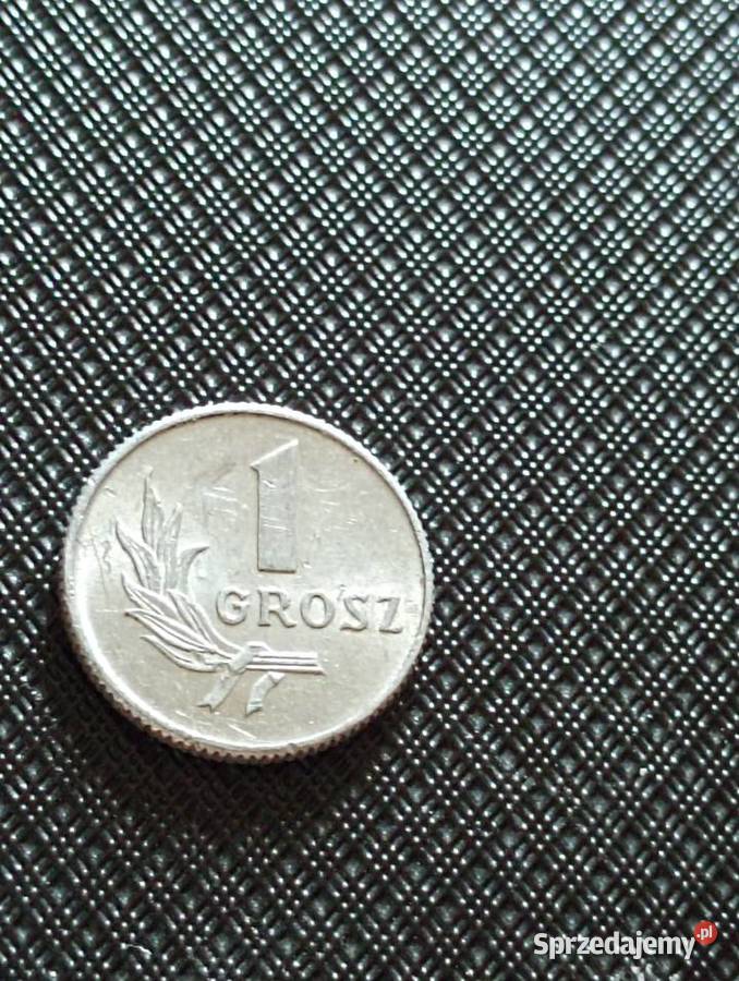 Sprzedam cv 1 grosz 1949 r bzm Chełm