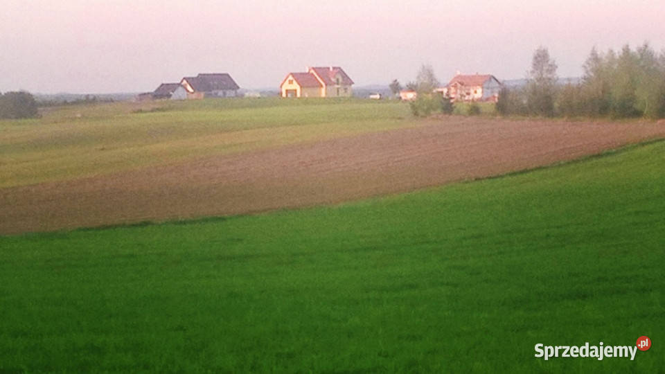 MazuryStare Juchy Działka 7500m 35 złm2 Stare Juchy