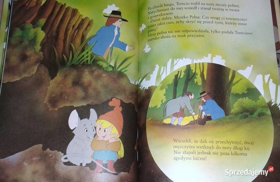 Tomcio Paluch Van Gool lubelskie sprzedam