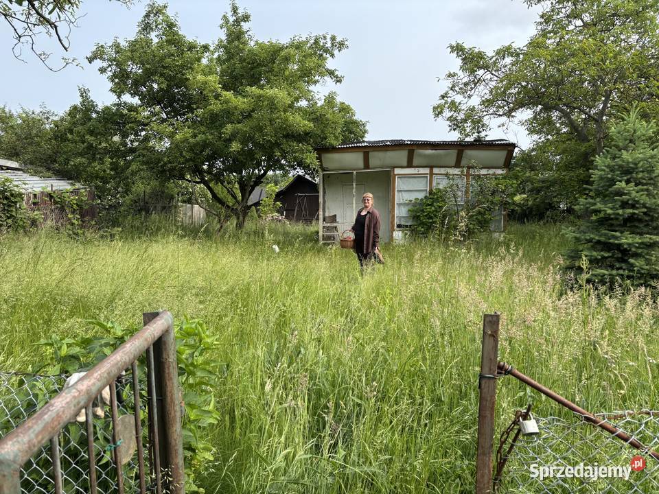 Sprzedam prawo do użytkowania działki ROD w Sprzedaż Warszawa