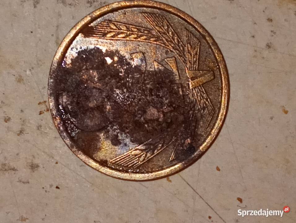 Moneta 2 PRL 1984 Awers do oczyszczenia Antyki, Sztuka, Kolekcje Wrocław