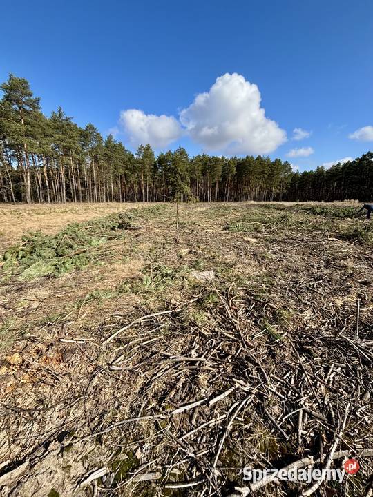DZIAŁKA BUDOWLANA 1000 m ASFALT LAS SPOKOJNA Krawcowizna sprzedam