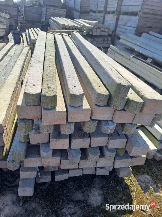 Słupy sadownicze Konin