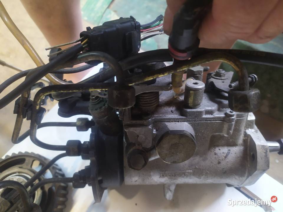 Pompa Wtryskowa Renault Kangoo 19 Diesel osobowe Pompy wtryskowe