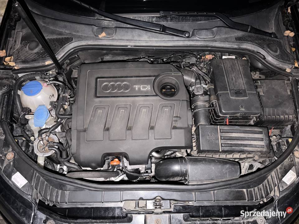 Audi a3 8p 16 TDI COMMON RAIL LIFT OKAZJA 220 A3 Orzesze