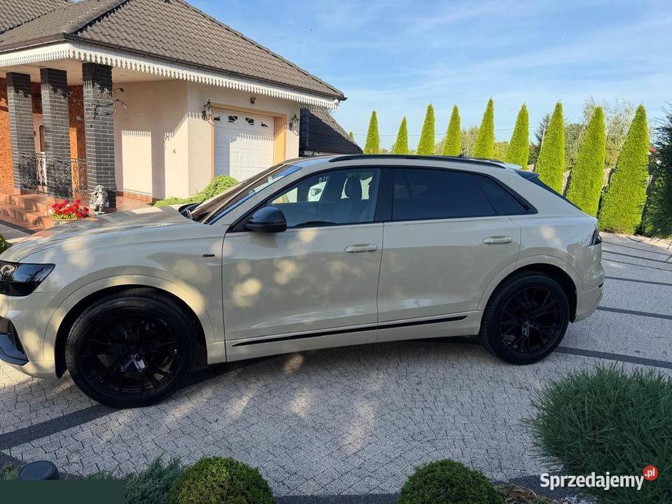 Audi Q8 50 TDI mHEV Quattro Tiptronic 286 2019r Krotoszyn