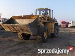 Fadroma stalowa wola Łapy