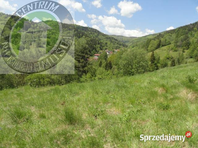 sprzedaży gruntu 3800m2 Ochotnica Dolna kanalizacja