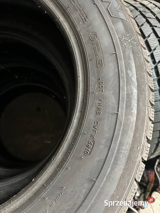 Opony zimowe Michelin Pilot Alpin 2356518 110H Gdańsk