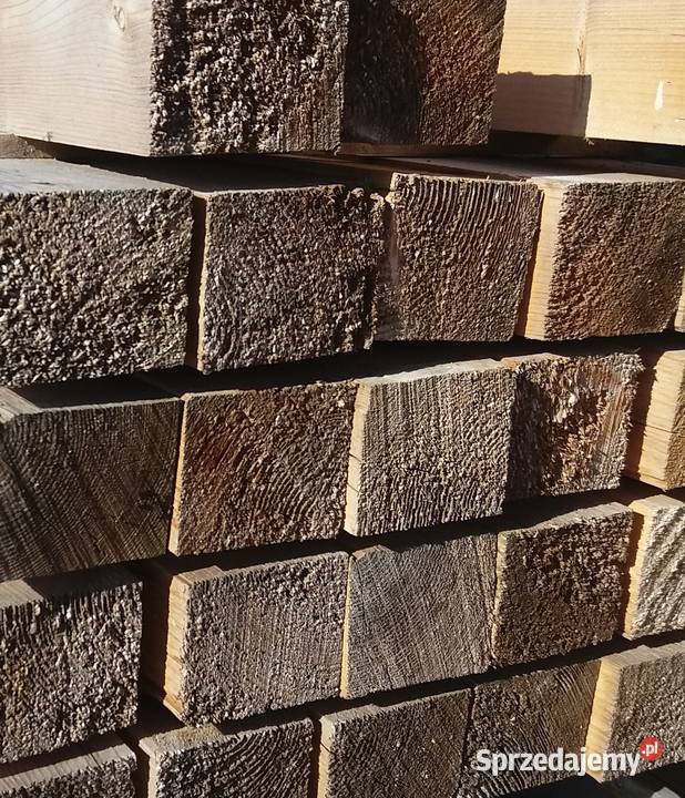 tarcica świerkowa Brzeźno