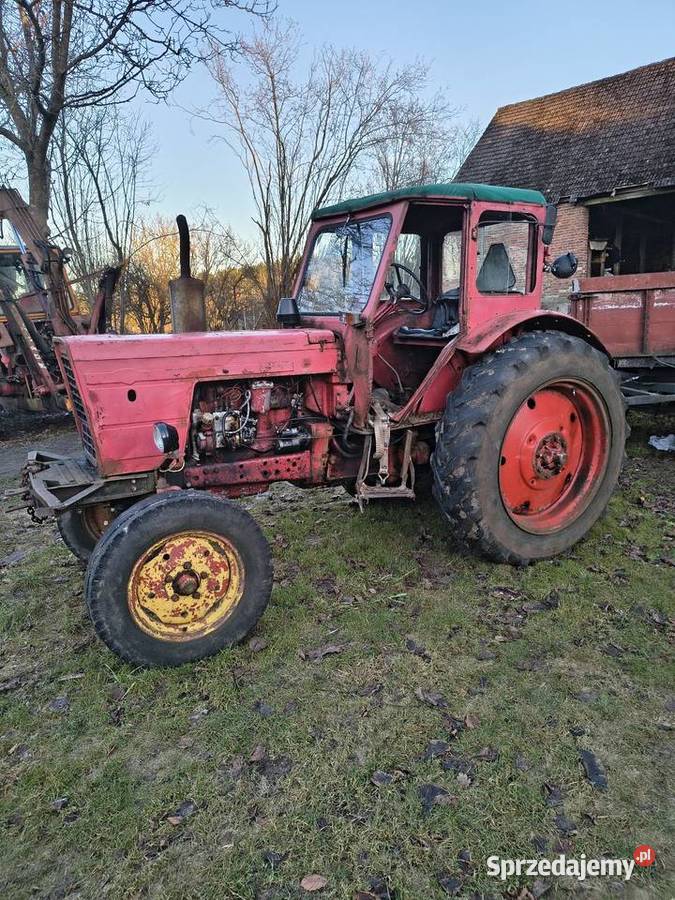 Chcą Mnie Sprzedać Czarne Wielkie